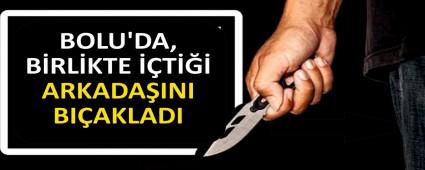 BOLU\'DA, BRLKTE T ARKADAINI BIAKLADI