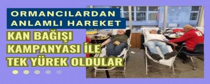 Ormanclardan anlaml hareket