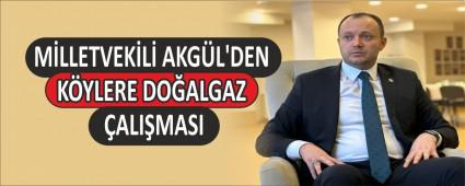 MLLETVEKL AKGL\'DEN  KYLERE DOALGAZ ALIMASI