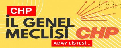 BOLU CHP\'NN L GENEL MECLS LSTES AIKLANDI