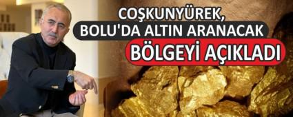 COKUNYREK, BOLU\'DA ALTIN ARANACAK BLGEY AIKLADI