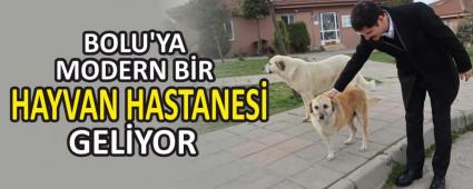 BOLU\'YA MODERN BR HAYVAN HASTANES GELYOR