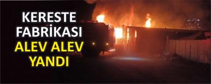 KERESTE FABRKASI ALEV ALEV YANDI