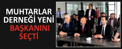 MUHTARLAR DERNE YEN BAKANINI SET