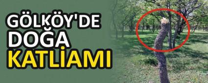 GLKY\'DE DOA KATLAMI