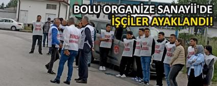 BOLU ORGANZE SANAY\'DE LER AYAKLANDI! 