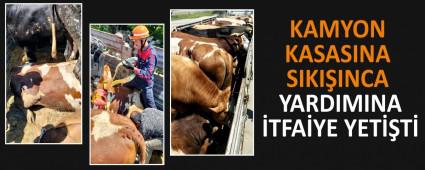 KAMYON KASASINA SIKIINCA YARDIMINA TFAYE YETT