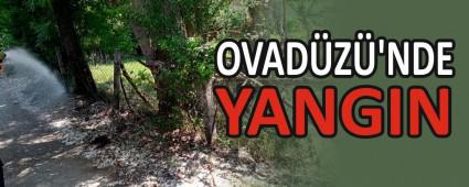 OVADZ\'NDE YANGIN