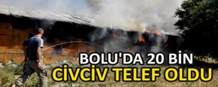 BOLU\'DA 20 BN CVCV TELEF OLDU