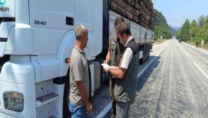 Takesti\'de orman emvali tayan aralar kontrol edildi