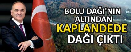BOLU DAI\'NIN ALTINDAN  KAPLANDEDE DAI IKTI