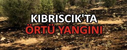 KIBRISCIK\'TA RT YANGINI