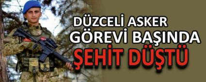 DZCEL ASKER GREV BAINDA EHT DT