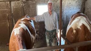 Seben\'de 3 kyde st srcl kredisi verildi