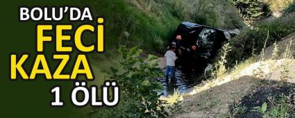 BOLU\'DA KANALA ARA UTU, 1 L