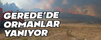 GEREDE\'DE ORMANLAR YANIYOR