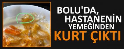 BOLU\'DA, HASTANENN YEMENDEN KURT IKTI