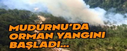 Mudurnu\'da orman yangn balad