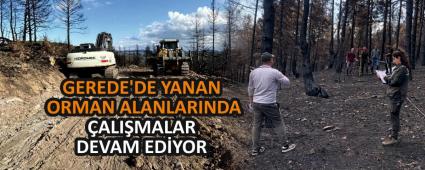 GEREDE\'DE YANAN ORMAN ALANLARINDA ALIMALAR DEVAM EDYOR