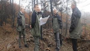 Orman Genel Mdr Yardmcs Mustafa zkaya Gynk\'te