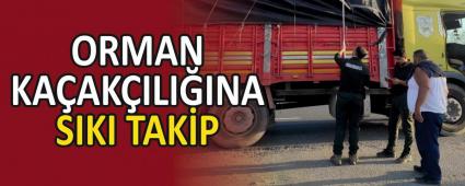 ORMAN KAAKILIINA SIKI TAKP