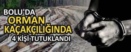 BOLU\'DA ORMAN KAAKILIINDA 4 K TUTUKLANDI
