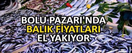 BOLU PAZARI\'NDA BALIK FYATLARI EL YAKIYOR