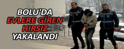 BOLU\'DA EVLERE GREN HIRSIZ YAKALANDI