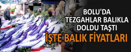 BOLU\'DA TEZGAHLAR BALIKLA DOLDU TATI