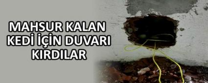 MAHSUR KALAN KED N DUVARI KIRDILAR