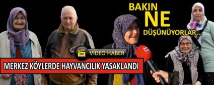 MERKEZ KYLERDE HAYVANCILIK YASAKLANDI!