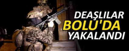 DEALILAR BOLU\'DA YAKALANDI