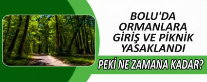 BOLU\'DA ORMANLARA GR VE PKNK YASAKLANDI