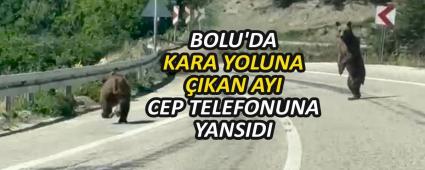 BOLU\'DA KARA YOLUNA IKAN AYI CEP TELEFONUNA YANSIDI