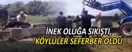 NEK OLUA SIKITI, KYLLER SEFERBER OLDU