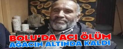 Bolu\'da zerine aa den ii hayatn kaybetti