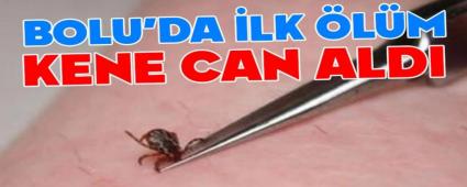 Bolu\'da keneden ilk lm geldi