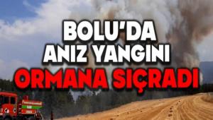 Bolu\'da anz yangn ormana srad
