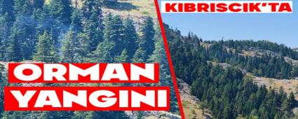 Bolu Kbrsck\'ta Yaylalk alanda Orman Yangn