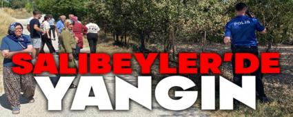 Bolu\'da evlerin arasnda anz yangn