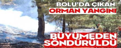 Bolu\'da kan orman yangn bymeden sndrld