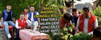 BAKAN YARDIMCISI EMNOLU BOLU\'DA TRAKTRLE TARLAYA GDP, GENLERLE HASAT YAPTI