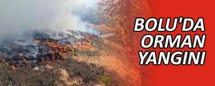 BOLU\'DA ORMAN YANGINI
