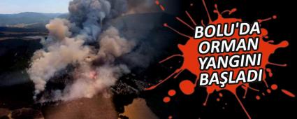 BOLU\'DA ORMAN YANGINI BALADI