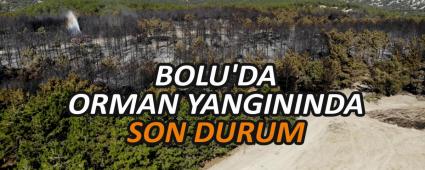 BOLU\'DA ORMAN YANGININDA SON DURUM
