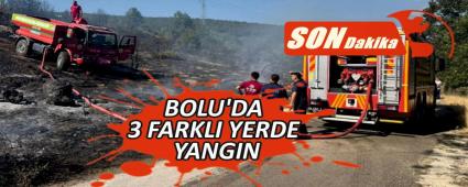 BOLU'DA 3 FARKLI YERDE YANGIN