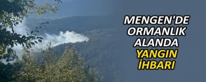 MENGEN\'DE ORMANLIK ALANDA YANGIN HBARI