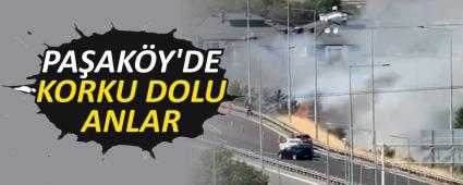 BOLU\'DA, OTLAR ALEV ALEV YANDI