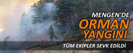 MENGEN\'DE ORMAN YANGINI, TM EKPLER SEVK EDLD