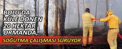 BOLU\'DA KLE DNEN 20 HEKTAR ORMANDA, SOUTMA ALIMASI SRYOR